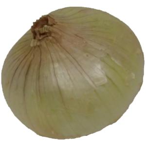 Fresh Produce - Onion California Sweet