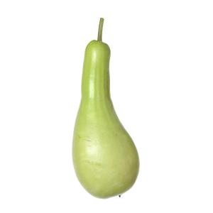 Produce - Squash Opo