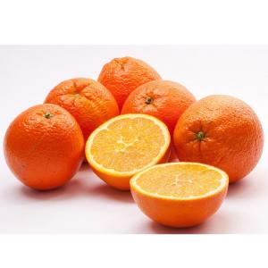 Produce - Orange Navel 113