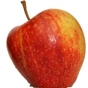 Organic - Organic Cameo Apples