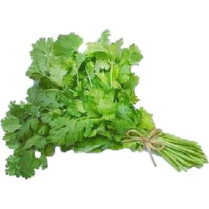 Fresh Produce - Organic Cilantro