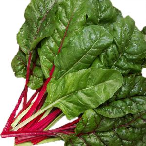 Organic Produce - Organic Green Chard