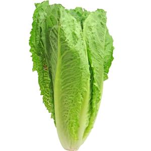 Produce - Organic Lettuce Romaine