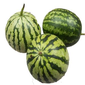 Produce - Organic Mini Watermelon