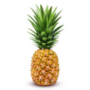 Organic Produce - Organic Pineapples