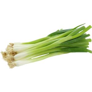 Fresh Produce - Organic Scallions