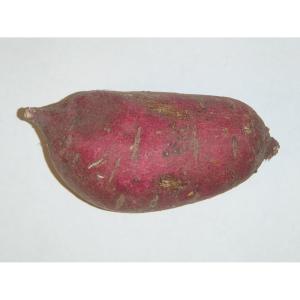 n/a - Oriental Yams