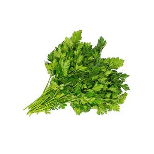 Fresh Produce - Parsley Italian