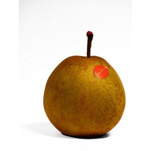 Fresh Produce - Pear Passe Crassane