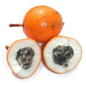 Tropical - Passion Fruit Orange