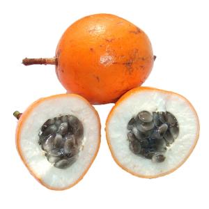 Tropical - Passion Fruit Orange