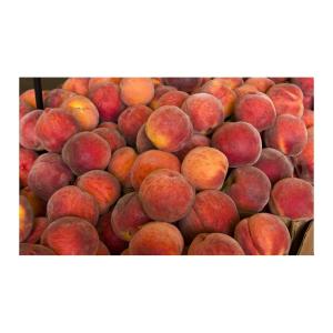 elizabeth's - Peaches