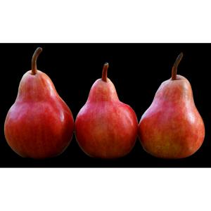 Produce - Pear Starkrimson