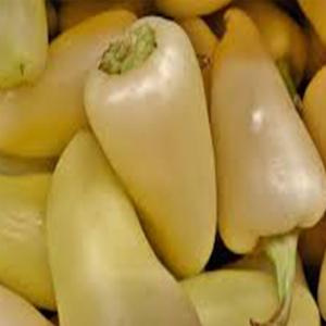 Fresh Produce - Pepper White