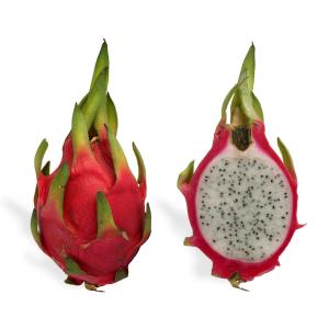 Tropical - Pitahaya Red