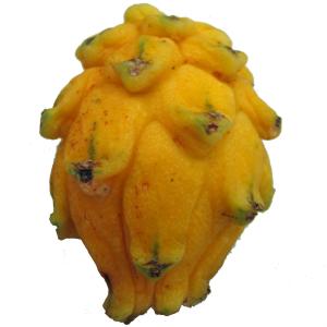 Tropical - Pitahaya Yellow