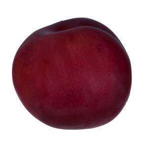 Fresh Produce - Plum Purple