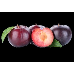 California - Plum Red Large