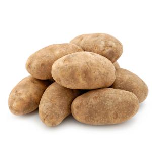 California - Potato Russet 2