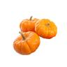 Fresh Produce - Pumpkin Mini