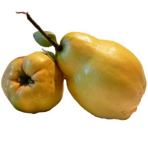 Fresh Produce - Quince