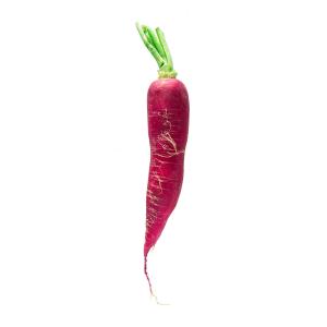 Fresh Produce - Radish Italian Red