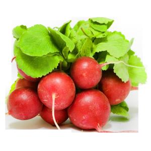 Fresh Produce - Radishes Bunch