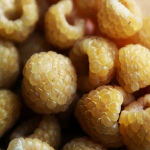 Produce - Raspberries Golden