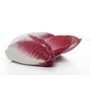 Fresh Produce - Belgian Endive Red