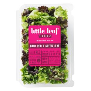 Little Leaf Farms - Red & Green Leaf