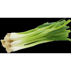 Fresh Produce - Scallions Iced