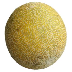 Fresh Produce - Sharlin Melons