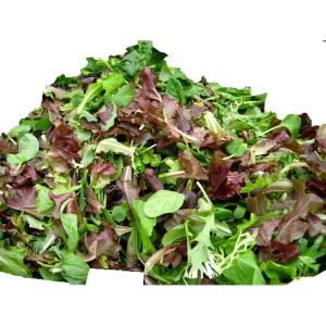 Solata Farms - Sol Spring Mix 5 oz