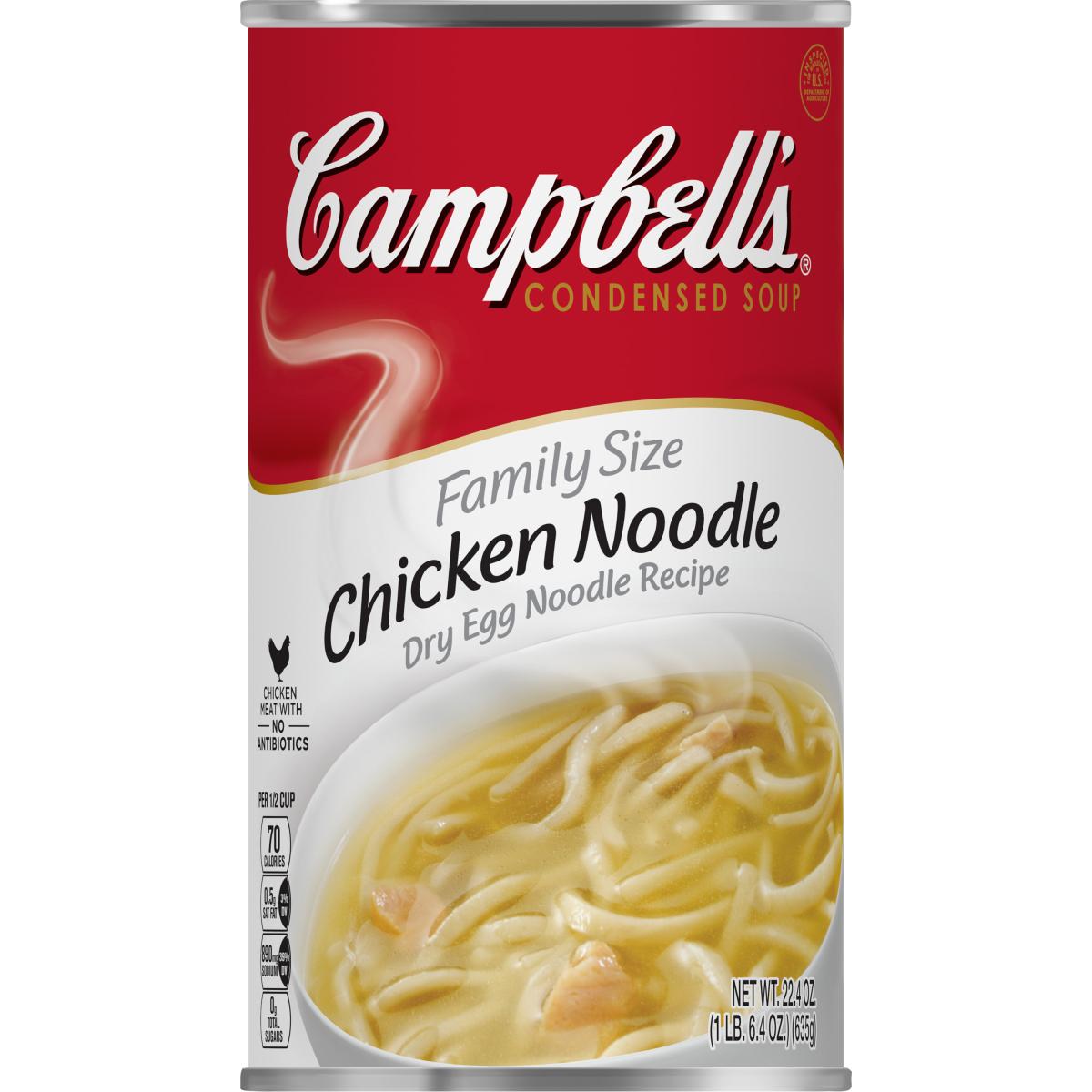 CHICKEN NOODLE SOUP