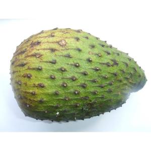 Tropical - Soursop