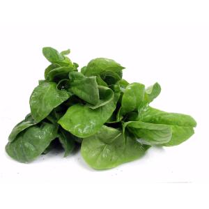 Produce - Spinach Baby 4lb