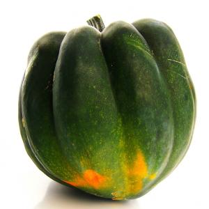 Fresh Produce - Squash Acorn