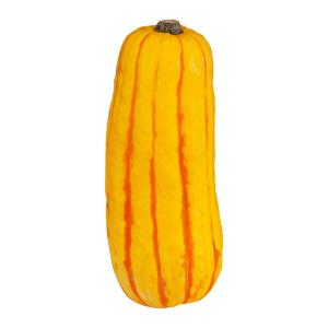 Fresh Produce - Squash Delicata