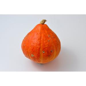 Produce - Squash Red Kuri