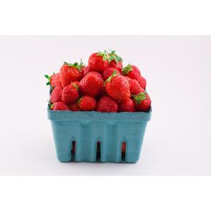 Fresh Produce - Strawberries Quart