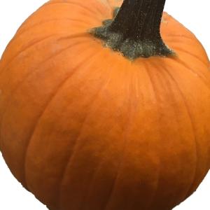 Produce - Sugar Pie Pumkins