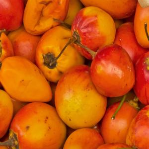 Tropical - Tamarillo Golden