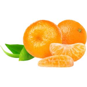 Florida - Tangerine Clementine