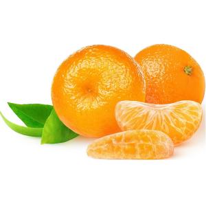 Florida - Tangerine Clementine