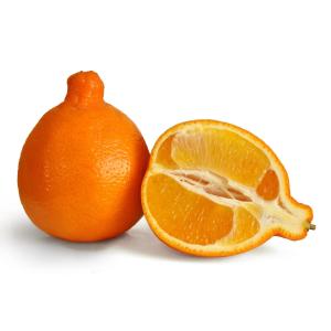 Florida - Tangerinetangelo