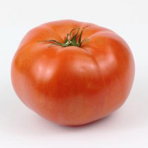 Fresh Produce - Tomatoes Hot House