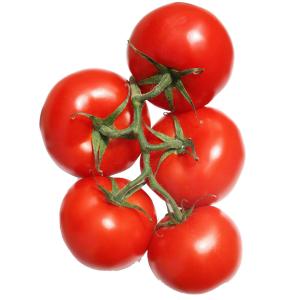 Organic Produce - Tomatoes on the Vine