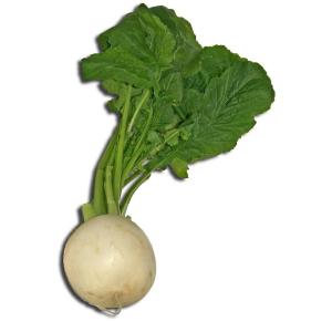 Produce - Turnip Purple Top