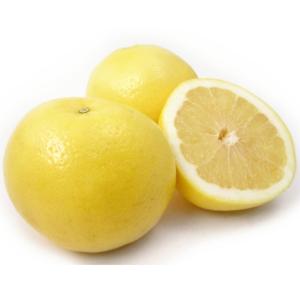 Florida - White Grapefruit