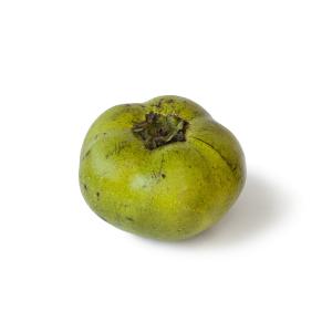 Tropical - Sapote White